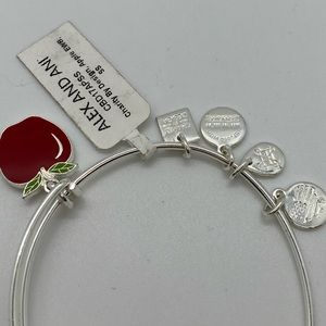 Alex and Ani Teacher bracelet 2017 NWT